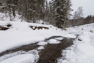 Image showing mountain river in the winter forest