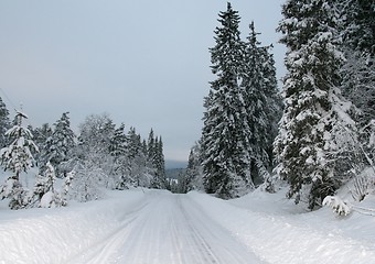 Image showing Winter road