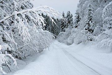 Image showing Winter landscape