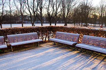 Image showing Winter in the park