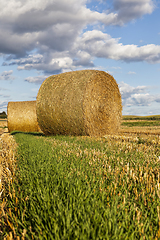 Image showing haystacks with straw