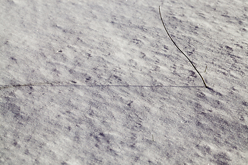 Image showing surface of the snow