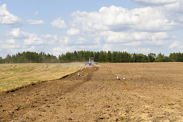 Image showing agricultural field after harvesting