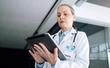 Image showing Woman, doctor and tablet in research, communication or Telehealth for results or networking at hospital. Female person, healthcare or medical surgeon working on technology for online search at clinic