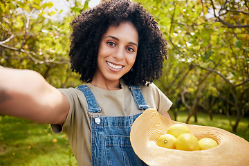 Image showing Woman in orchard, selfie and agriculture with lemon in portrait, healthy food and nutrition on citrus farm outdoor. Farmer, picking fruit and smile in picture, harvest organic product and memory