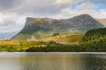 Image showing mountain peak over water with cluster of spruce