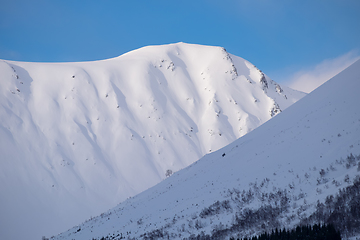 Image showing snowy mountain and lonely tree