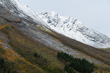 Image showing snow-covered mountain peaks above autumn-colored trees and rocks