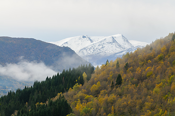 Image showing autumn colored trees and snow-covered mountain peaks