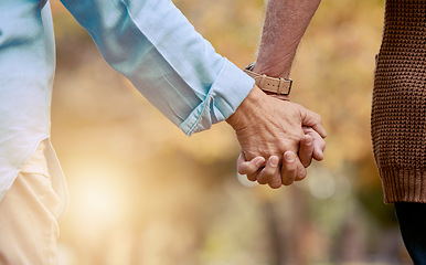 Image showing Love, nature and senior couple holding hands while walking in autumn park, forest or woods for retirement leisure. Romance, lens flare or marriage partnership of elderly man and woman bonding on date