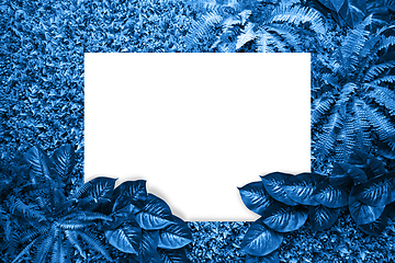 Image showing Classic blue color background from leaves