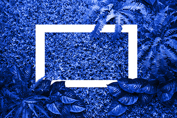 Image showing Classic blue color background from leaves