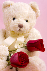 Image showing Bear with roses