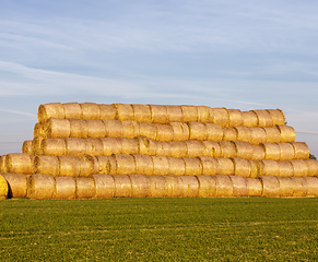 Image showing cylindrical straw stacks