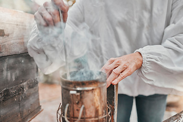 Image showing Hands, smoker fire and beekeeper on farm mix and refueling with tool. Safety, beekeeping and worker in suit preparing smoking pot or equipment to calm or relax bees, beehive or bugs for honey harvest