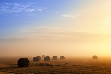 Image showing agricultural field