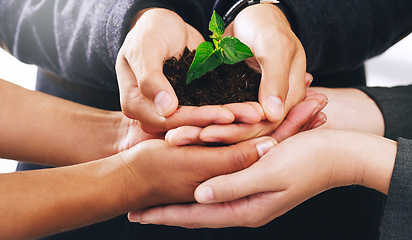 Image showing Hands, plants and growth for nature sustainability, agriculture and interracial earth day support. Diversity, teamwork and green energy ecology, enviroment collaboration and carbon capture gardening