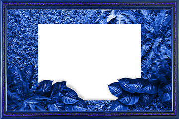 Image showing Classic blue color background from leaves