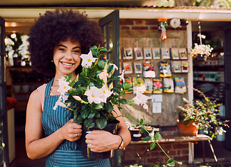 Image showing Flowers, small business and black woman in portrait for store, seller and supplier success, growth and natural plants. Floral, sustainable and green shop business owner with entrepreneur spring sale