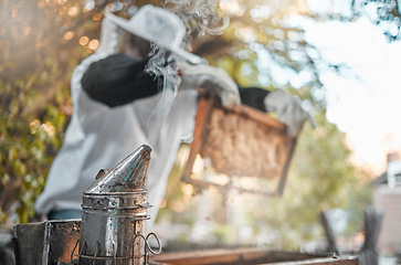 Image showing Bee farm, honey or farmer worker with harvest organic product in safety suit in garden. Sustainability, ecology or agriculture work employee with bees working for beekeeping with honeycomb in apiary