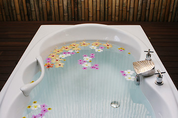 Image showing Bath tub