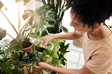 Image showing Gardening, black woman and water plants at home for agriculture sustainability, eco friendly gardener and green energy ecology. Garden, nature and girl working in flower environment for plant growth