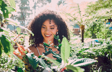 Image showing Plants leaf, Spring garden and black woman check natural growth, gardening maintenance or agriculture sustainability. Ecology, botany and eco friendly gardener happy with garden design for Earth Day