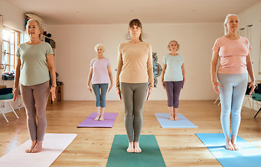 Image showing Fitness, yoga and elderly women in a class to relax and start a calm, workout and peaceful meditation in a studio. Wellness, friends or zen senior people ready for mindfulness training and exercise