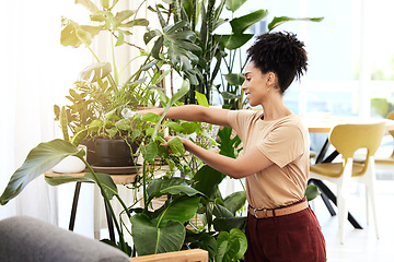 Image showing Plants, office and business woman with eco friendly, green and growth care for workplace wellness, sustainable lifestyle or mental health. Startup corporate worker and plant quality check or progress
