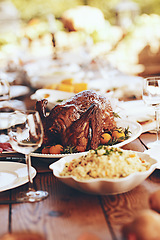 Image showing Thanksgiving, table and food with turkey, chicken or poultry for festive holiday meal by blurred background. Fine dining, celebration or backyard party with healthy poultry at feast, dinner or lunch