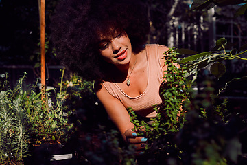 Image showing Plant shop, greenhouse and black woman working in a retail nursery to monitor growth and development. Ecology, inspection and African girl doing maintenance on leaves and plants in a natural store.