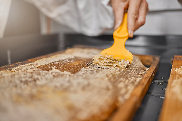 Image showing Beekeeper, hand and honey process, production and manufacturing in a factory, workshop and workplace. Frame, scraping and honeycomb with equipment for beeswax on a sustainability farm or warehouse