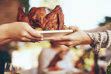 Image showing Chicken, lunch and hands at a party, celebration or Christmas event for eating together. Food, nutrition and people giving a turkey on a plate for dinner, feast and fine dining in nature with bokeh