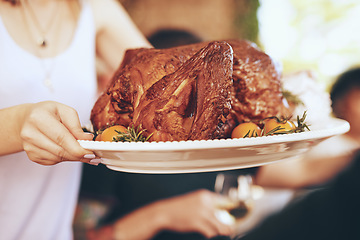 Image showing Chicken, lunch and hands of a woman at a celebration with a plate for a party, Christmas or gathering. Food, nutrition and girl serving a turkey for dinner during Thanksgiving with family and friends