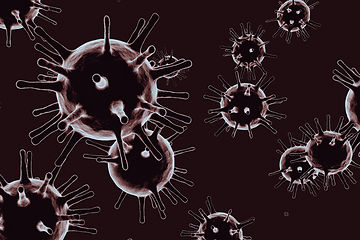 Image showing 3D illustration of corona virus