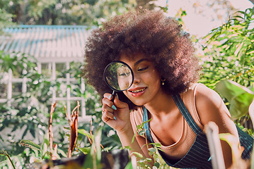 Image showing Woman, gardening and farmer with magnifying glass for carbon capture, plants or flower growth in outdoor garden. Black woman, nature and earth day or natural agriculture sustainability greenhouse