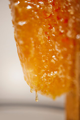 Image showing Honeycomb, honey and natural product, zoom and nature texture with syrup drip and production process. Healthy, organic and raw with liquid gold from bee farming, sustainable and beekeeping closeup.