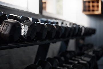 Image showing Zoom, fitness or workout dumbbells in gym studio for bodybuilding development, exercise or muscle training health wellness. Metal, motivation or heavy weights for sports, power or healthy lifestyle