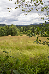 Image showing Idyllic Bavarian Forest scenery