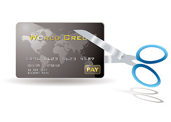 Image showing credit card cut