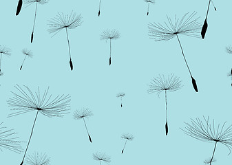 Image showing dandelion