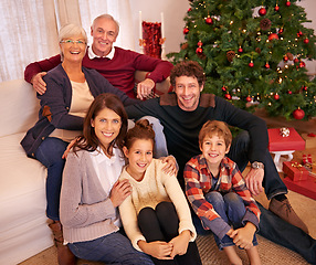 Image showing Portrait of happy family at Christmas, generations on sofa in living room with Christmas tree, smile and happiness. Grandparents, couple and children on couch together at family holiday celebration.