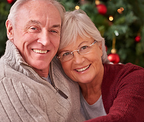 Image showing Senior couple, portrait and happy christmas in home, house and happiness, love and care together for winter holiday. Man, woman and old people, retirement and festive, merry xmas and celebration joy