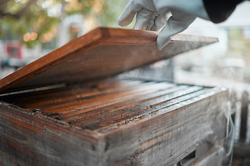 Image showing Wood box, smoke and beekeeping, production process for honey and natural product with manufacturing outdoor. Beekeeper, hand and glove for safety, beeswax smoker and organic bee farming and equipment