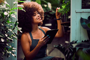 Image showing Tablet, plants and black woman, small business owner and greenhouse environment in retail flowers shop, store and eco friendly market. Happy gardening worker, digital planning and sustainable growth