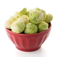 Image showing Fresh brussels sprouts