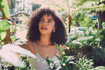 Image showing Nature, sustainability and women in garden with plants in backyard of home. Agriculture, sustainable gardening and black woman with green fingers checking nursery plant at eco friendly small business