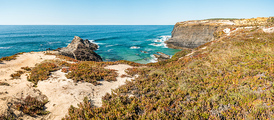 Image showing Cliff at Sardao cape