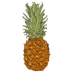 Image showing Pineapple