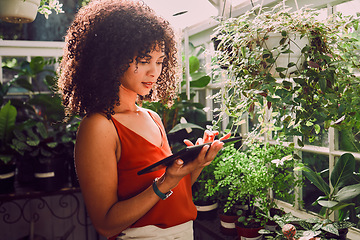 Image showing Greenhouse, plants and tablet of black woman for digital application, website management and stock inventory for agriculture industry. Seller, small business owner and online website for growth tips